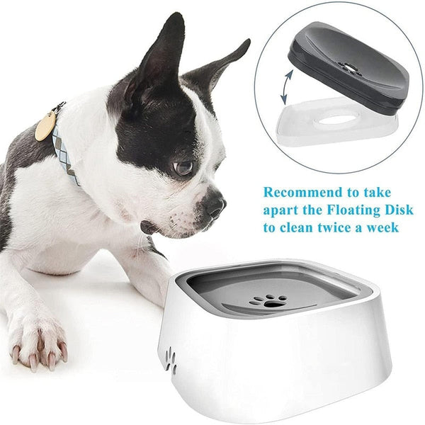 DrinkSafe Pet Water Bowl