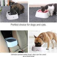 DrinkSafe Pet Water Bowl